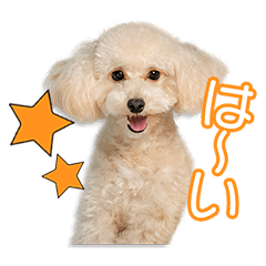 [LINEスタンプ] 石井家のおかゆちゃん