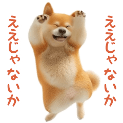 [LINEスタンプ] 踊る！柴犬