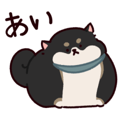 [LINEスタンプ] ご近所さんの柴犬～黒～