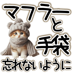 [LINEスタンプ] ず～っと使える☆冬の会話スタンプ☆猫