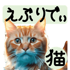 [LINEスタンプ] えぶりでぃ猫