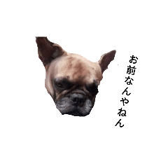 [LINEスタンプ] オモロ.k