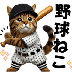 [LINEスタンプ] 新♡リアル野球猫