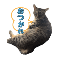 [LINEスタンプ] げんくんです3