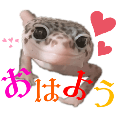 [LINEスタンプ] 我が家の小さな恐竜たち