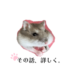 [LINEスタンプ] わたしのじゃんがりあん