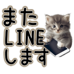 [LINEスタンプ] 毎日使える日常会話☆敬語☆猫.ネコ.子猫