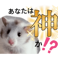 [LINEスタンプ] うちのマメハムちゃん