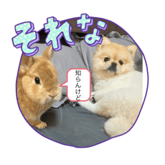 [LINEスタンプ] 仲良しおこげりんとモカさん