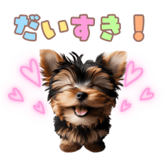 [LINEスタンプ] ヨークシャーテリアの子犬スタンプ