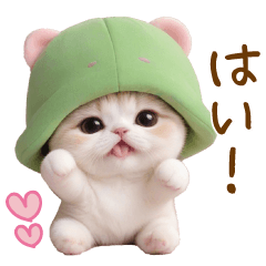 [LINEスタンプ] メロン帽が可愛い スコティッシュ猫 敬語