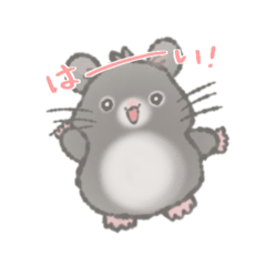 [LINEスタンプ] 我が家のハムくん