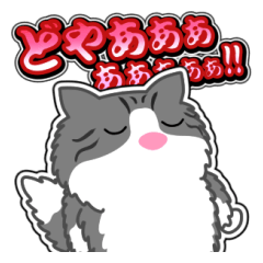 [LINEスタンプ] すのー通信 6 [日常グラデ文字2]