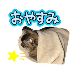 [LINEスタンプ] ココだよーーーん