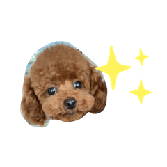 [LINEスタンプ] ティナスタンプno.1
