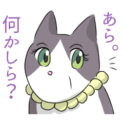 [LINEスタンプ] ハチワレ猫のおもてなし大作戦☆