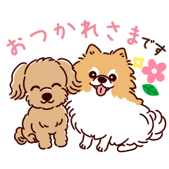 [LINEスタンプ] 丁寧語のポメラニアンとトイプードルさん