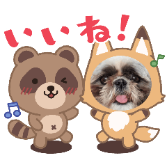 [LINEスタンプ] シーズー アイス君とももちゃん