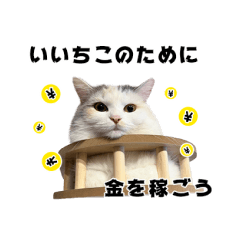 [LINEスタンプ] いいちこスタンプ 2