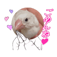 [LINEスタンプ] 白文鳥のミーちゃん