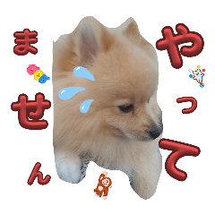 [LINEスタンプ] はるくんもうすぐ2才。僕の気持ち？