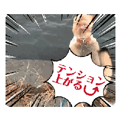 [LINEスタンプ] 動くこむぎさん