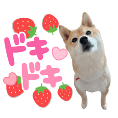 [LINEスタンプ] 楽しい仲間スタンプの巻1