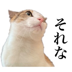 [LINEスタンプ] オリゴとホームズの日常スタンプ
