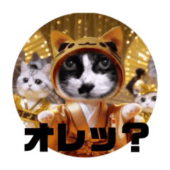 [LINEスタンプ] 我が家のハチ姐さんの画像（メイン）