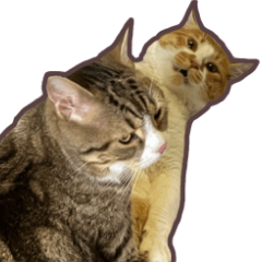 [LINEスタンプ] るのむぎ