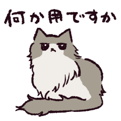 [LINEスタンプ] ノルウェージャンフォレストキャットです