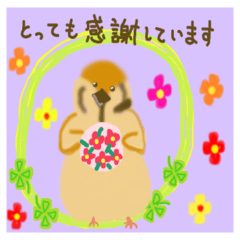 [LINEスタンプ] ふわふわ小鳥の日常会話