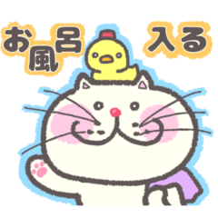 [LINEスタンプ] 家族連絡☆ずっと使えるカラフルにゃんこ