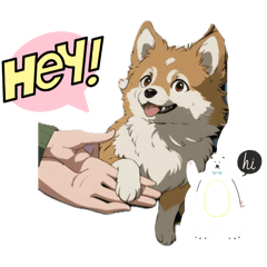 [LINEスタンプ] 毎日使えるポメチワココちゃん2