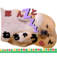 [LINEスタンプ] はるくんもうすぐ2才。悶絶可愛い僕？