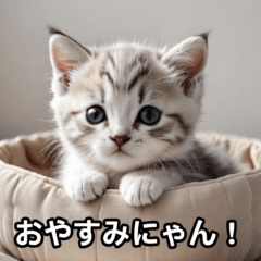 [LINEスタンプ] よく使う言葉アニマルズ