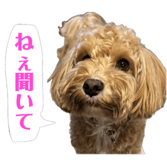 [LINEスタンプ] 理玖くん'sスタンプ2