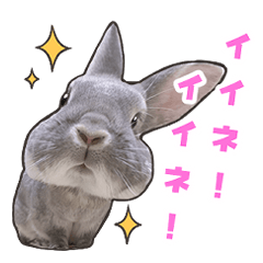 [LINEスタンプ] うさぎのおこげとつみれ 7