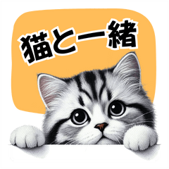 [LINEスタンプ] 猫と一緒【シルバータビー】