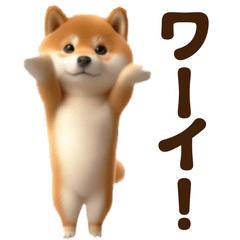 [LINEスタンプ] 踊る！柴犬わんだふる