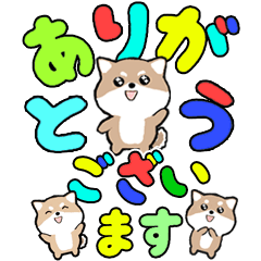 [LINEスタンプ] 飛び出す豆しば！カラフル敬語デカ文字