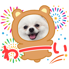 [LINEスタンプ] こむぎさん(2)