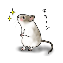 [LINEスタンプ] パイドデグーの可愛い1日