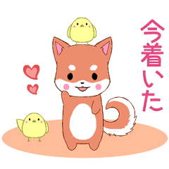 [LINEスタンプ] 飛び出す！ちびしばいぬ11【待ち合わせ】