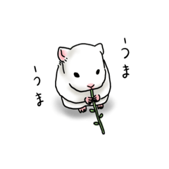 [LINEスタンプ] ホワイトハムスターの白太郎