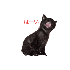 [LINEスタンプ] てとじじちゃんねる