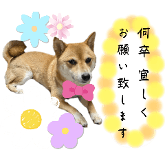 [LINEスタンプ] 福ちゃんだね♡新年ご挨拶編