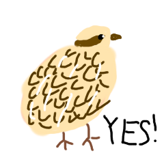 [LINEスタンプ] YES☆STAMP