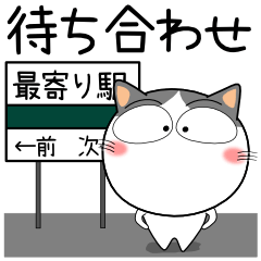 [LINEスタンプ] ハチワレ猫★待ち合わせ