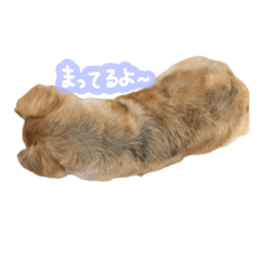 [LINEスタンプ] ラテちゃん vol.2